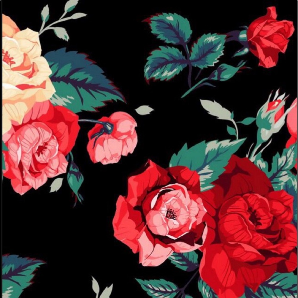 Meet your Posher, Erin